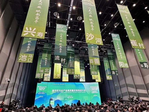 最高500萬獎勵 昌平3000萬支持文化產業高質量發展